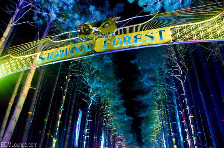 Electric Forest