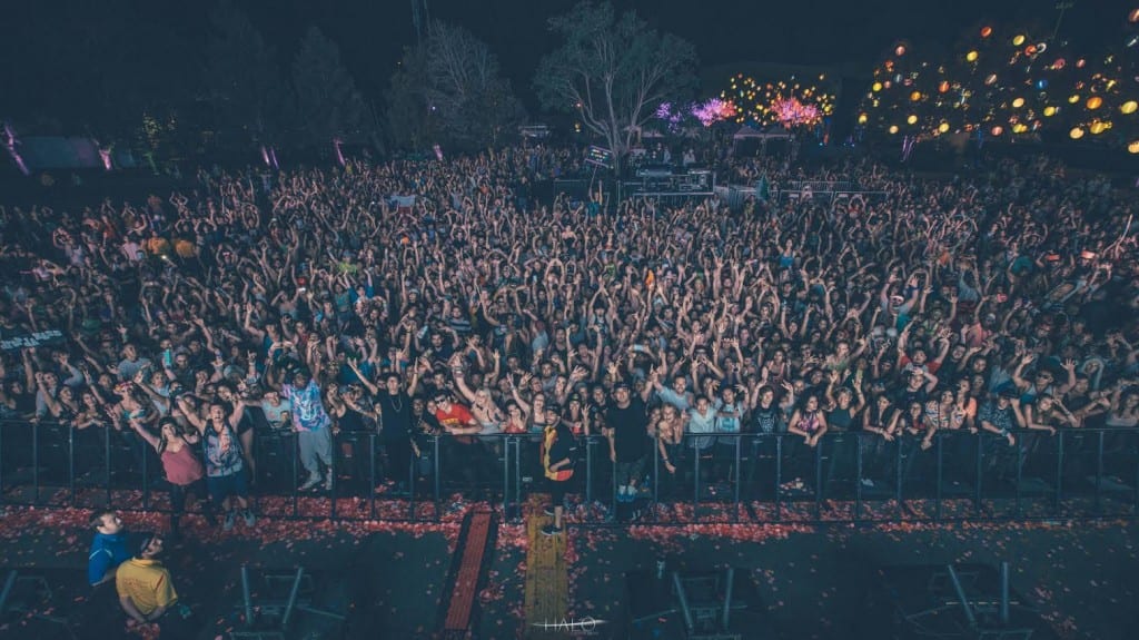 crizzly crowd shot