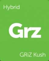 grz-youredm