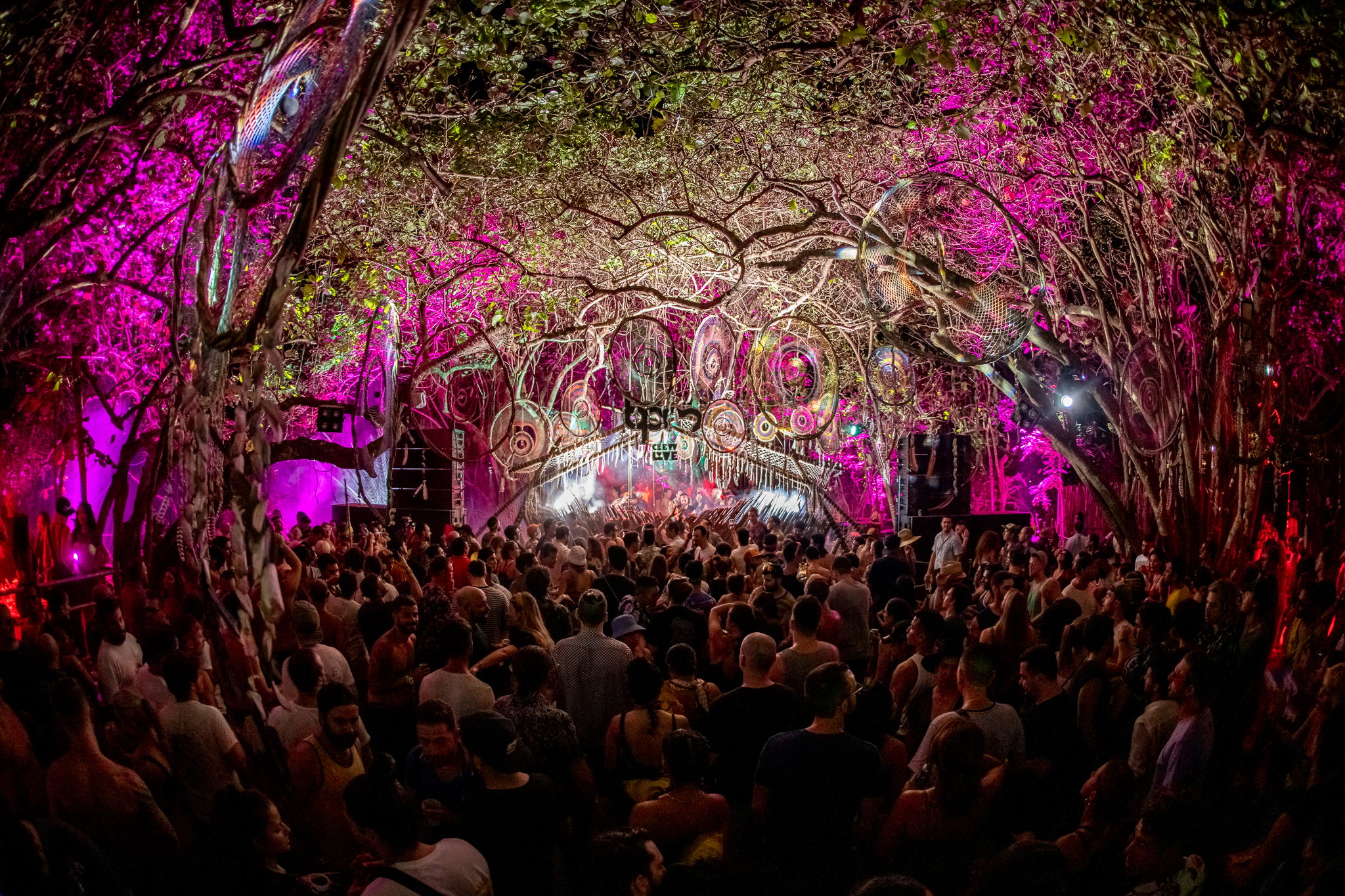 bpm festival