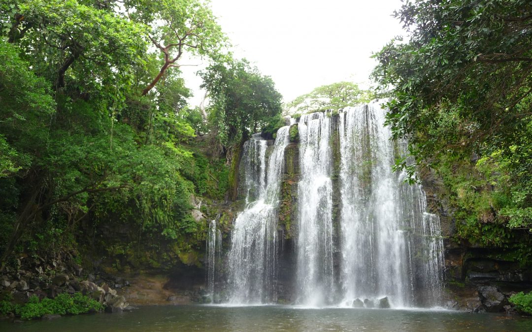 Gana boletos para Jungle Dreaming en Costa Rica con The Glitch Mob, David Starfire, Stylust y más